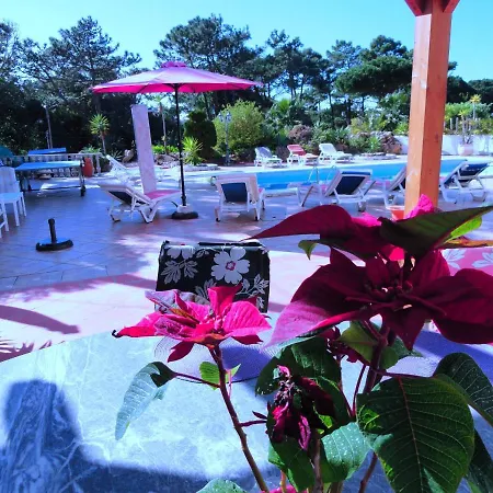 Casa Sete Mares 别墅 辛特拉